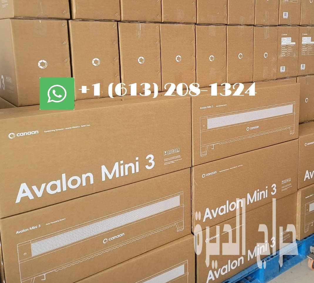 Avalon Mini3